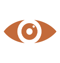vision icon